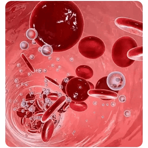 🔥تخفيضات هائلة ٥٠٪🔥 جهاز قياس نسبة السكر في الدم غير جراحي